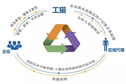 社保入稅、個稅改革與政策東風 人工智能行業(yè)應用系統(tǒng)集成服務迎來新機遇